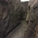 FATBRNWAL-02-IMG_4092