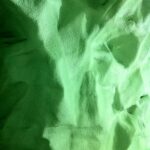 FATGRNCAV-05-IMG_3956